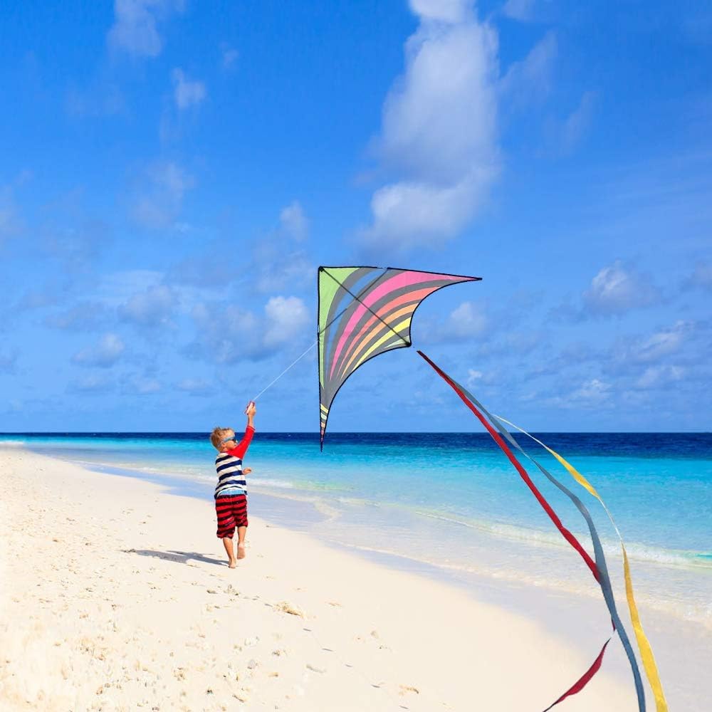 Mint's Colorful Life 60'' Delta Kite with 7.1in Reel Winder, Easy Flying Kites & Kite String Spool for Kids & Adults, Best Beach Kites Set for Beginners