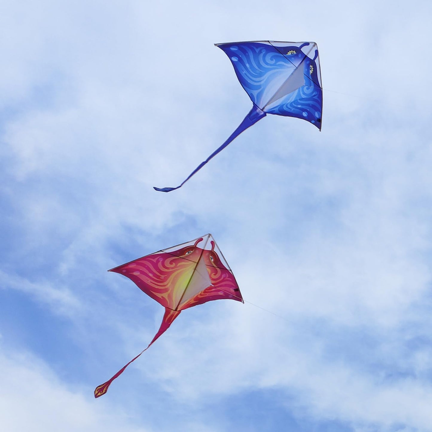 Mint's Colorful Life 2 Pack Devil Fish Kites for Kids Adults，Easy to Fly Delta Kite Single Line Large, Kite Handle Include (Blue&Pink)