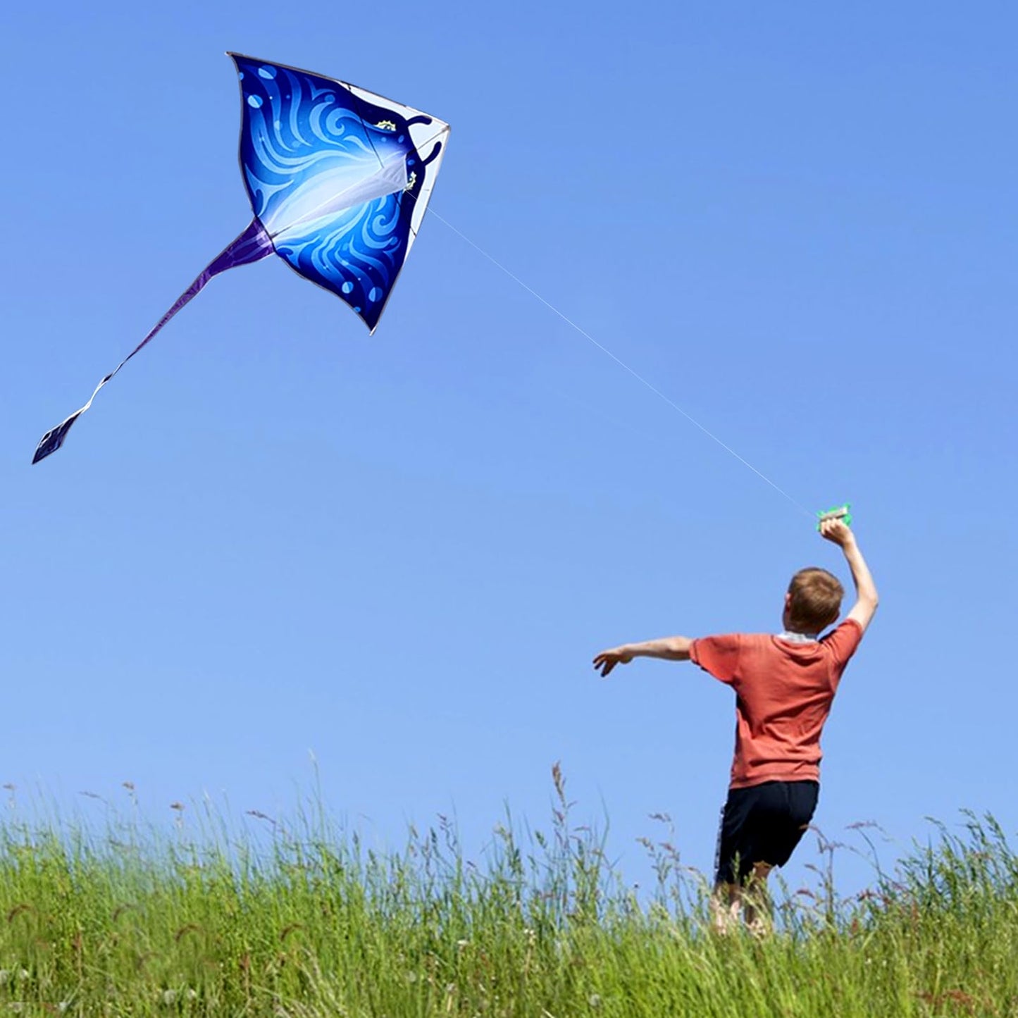 Mint's Colorful Life 2 Pack Devil Fish Kites for Kids Adults，Easy to Fly Delta Kite Single Line Large, Kite Handle Include (Blue&Pink)