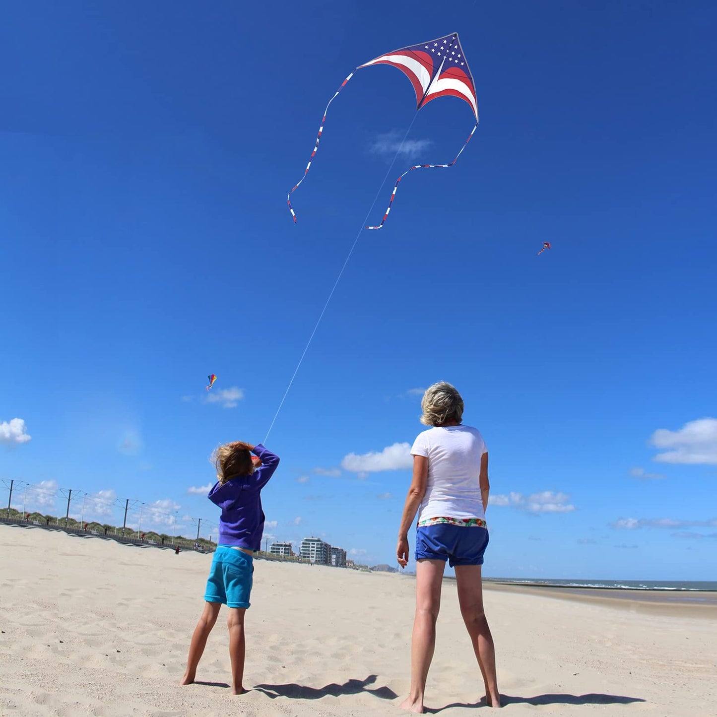 Mint's Colorful Life Delta Kite for Kids & Adults, Extremely Easy to Fly Kites, Best Kite for Beginner (American Flag)