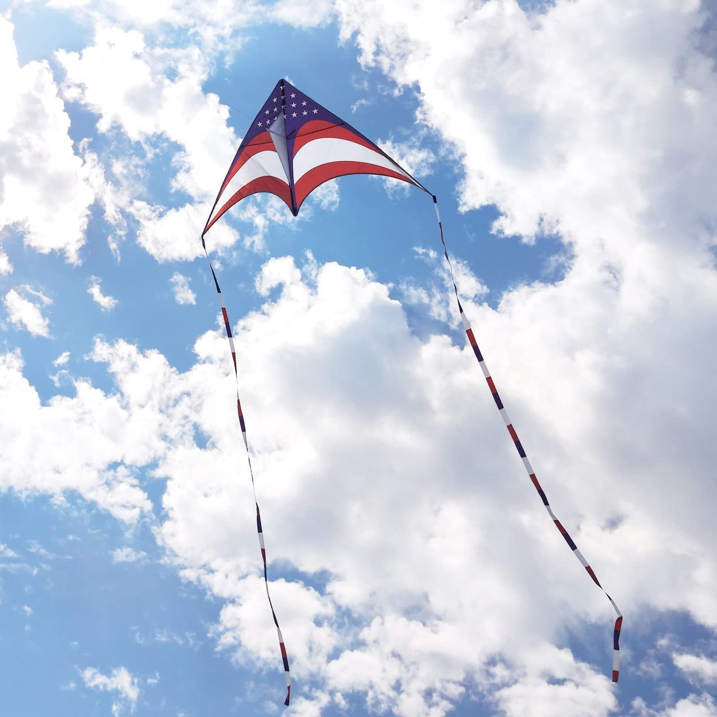 Mint's Colorful Life Delta Kite for Kids & Adults, Extremely Easy to Fly Kites, Best Kite for Beginner (American Flag)
