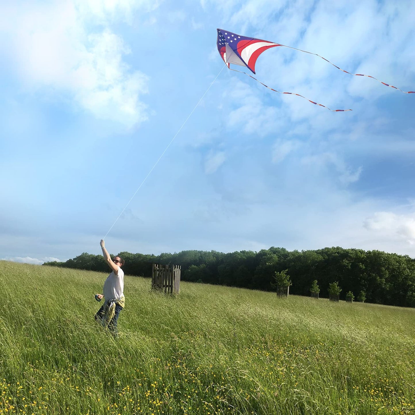 Mint's Colorful Life Delta Kite for Kids & Adults, Extremely Easy to Fly Kites, Best Kite for Beginner (American Flag)