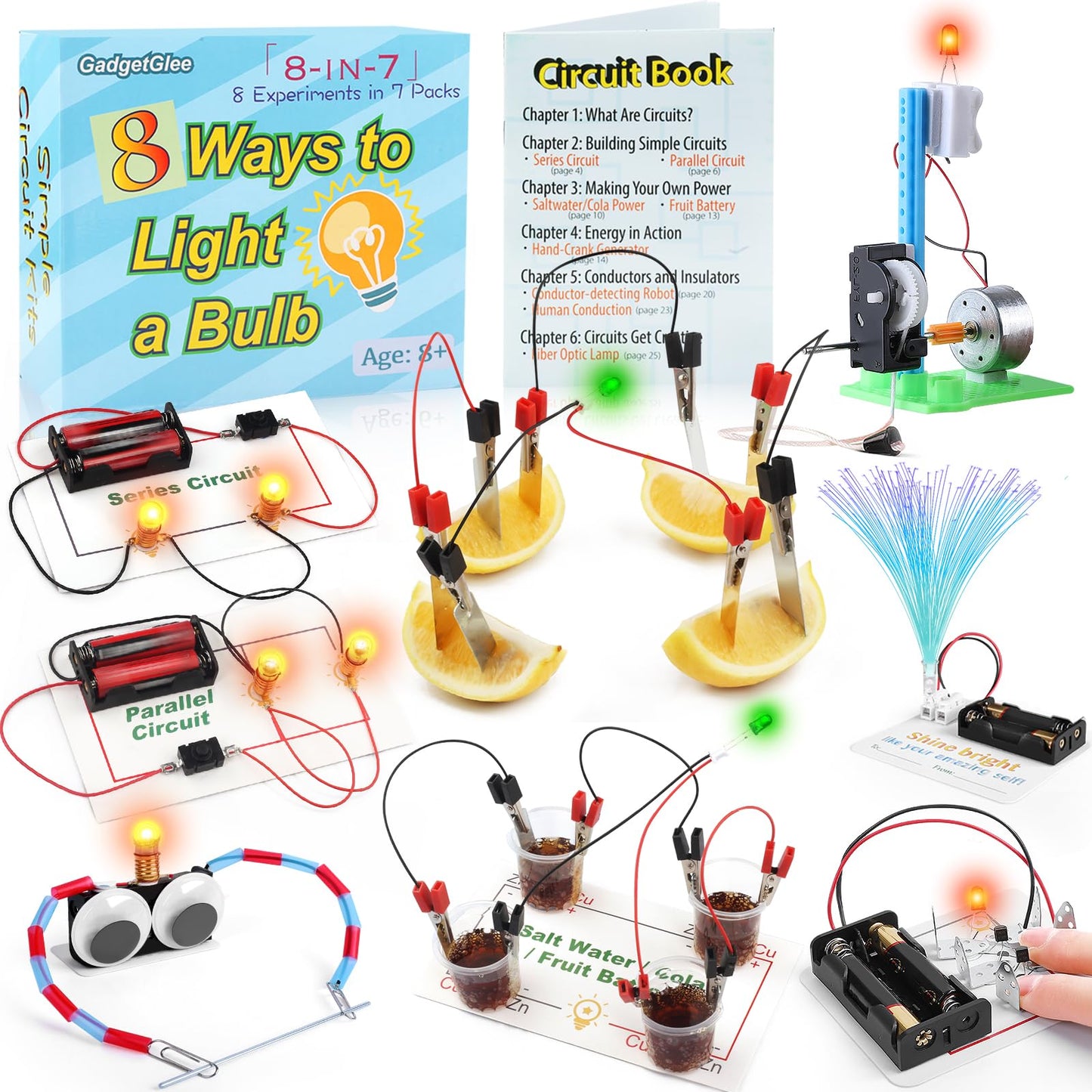 Science Circuit Kit Electricity for Kids, STEM Electrical Light Bulb Experiment, Electric Science Gifts Fair Project Kits Age 8-12, Fruit Energy Experiments Circuits Engineering Projects