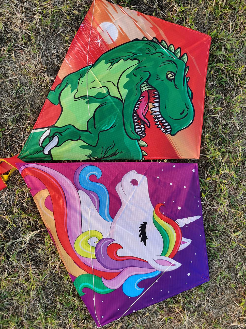 [2 Pack] Diamond Kites Dinasour+Unicorn Eddy Kite for Children, Wonderful Beginner Kites for 3 Years up, 60x70cm with 2x300cm Long Tails, Kite Handle, 60m String and Swivel incloud